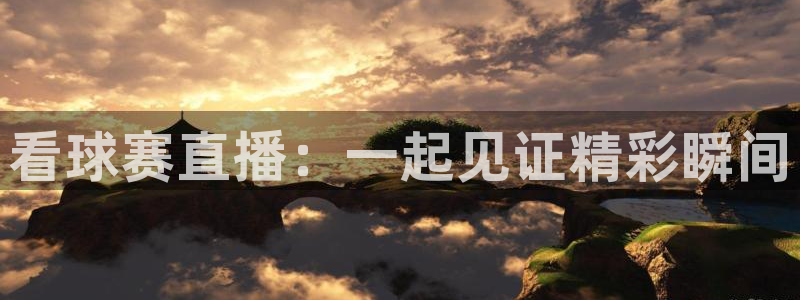 看球赛直播：一起见证精彩瞬间