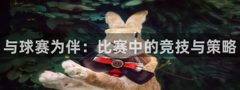 与球赛为伴：比赛中的竞技与策略