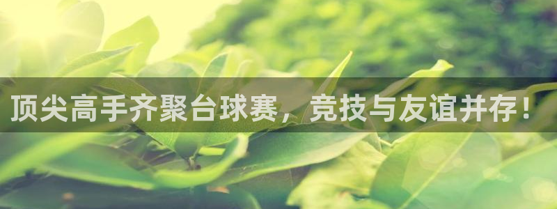  顶尖高手齐聚台球赛，竞技与友谊并存！