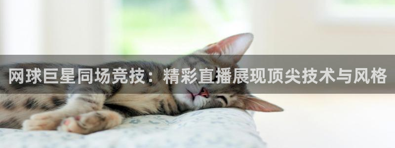 米兰体育报推测米兰离队球员：网球巨星同场竞技：精彩直播展现顶