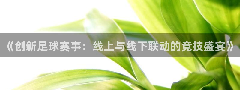  米兰体育经常封号怎么办：《创新足球赛事：线上与线下联动的竞技