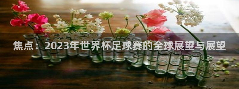  米兰体育场叫什么名字：焦点：2023年世界杯足球赛的全球展望