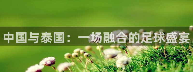  米兰体育网页版：中国与泰国：一场融合的足球盛宴