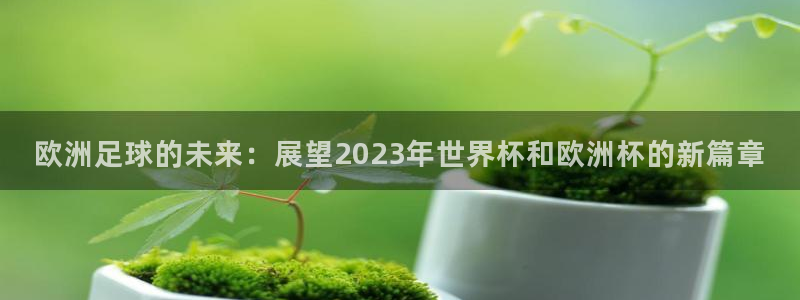 milan米兰体育官网：欧洲足球的未来：展望2023年世界杯