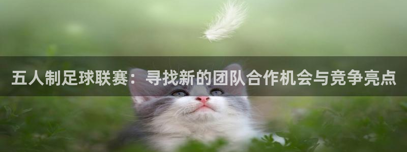  米兰体育最新：五人制足球联赛：寻找新的团队合作机会与竞争亮点