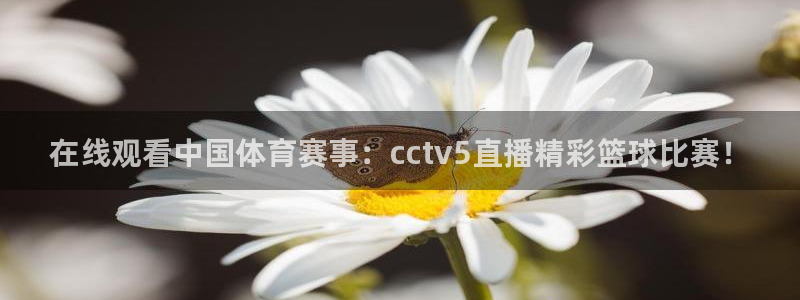 米兰体育场叫什么名字来着：在线观看中国体育赛事：cctv5直