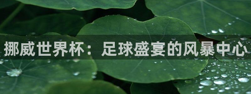  米兰体育场叫什么名字：挪威世界杯：足球盛宴的风暴中心