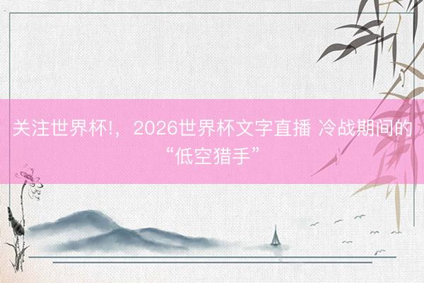 关注世界杯!,2026世界杯文字直播 冷战期间的“低空猎手”